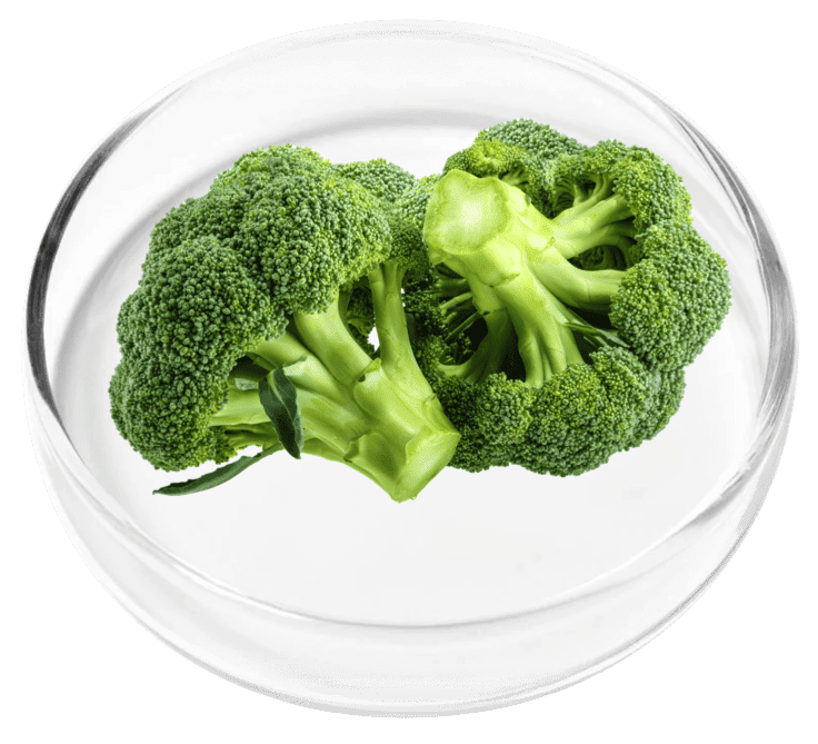 Alpha Lipoic Acid
