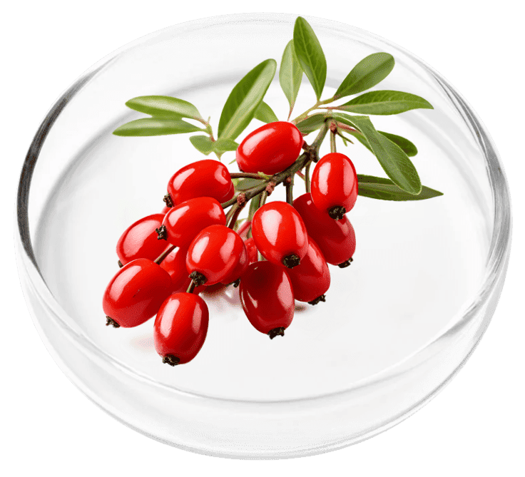 Berberine HCL