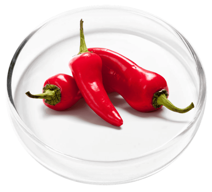 Cayenne Fruit